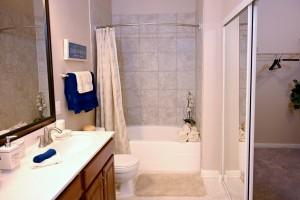 1 Bedroom Apartment for rent in Jersey Village, TX - Model Bathroom with Walk-In Closet 