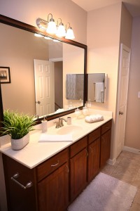 Two Bedroom Apartment for rent in Jersey Village, TX - Model Bathroom Vanity